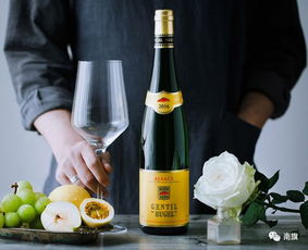 關于法國葡萄酒,你知道10大產(chǎn)區(qū)在哪嗎